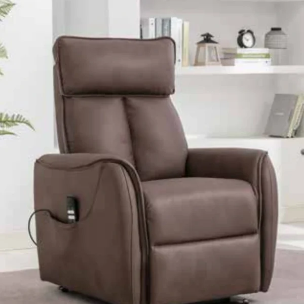 Tansey Lift & Rise Recliner Chair